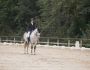 2024   Concours   St Remi   Jupiter   1
