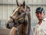 2024 France Dressage Saturn 4