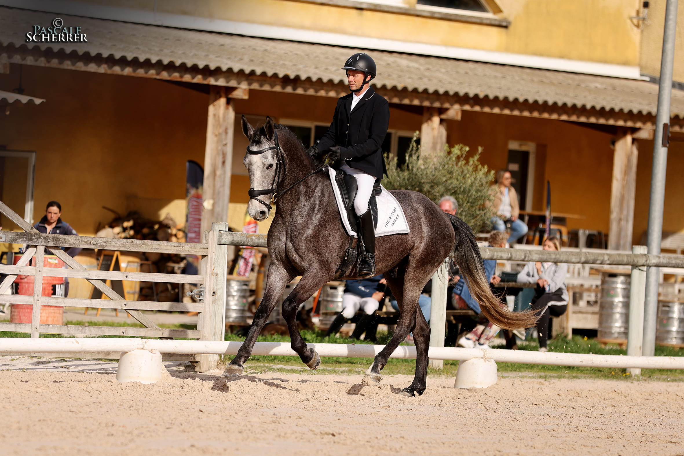 2024   Concours   Nimes   Sunlight   2