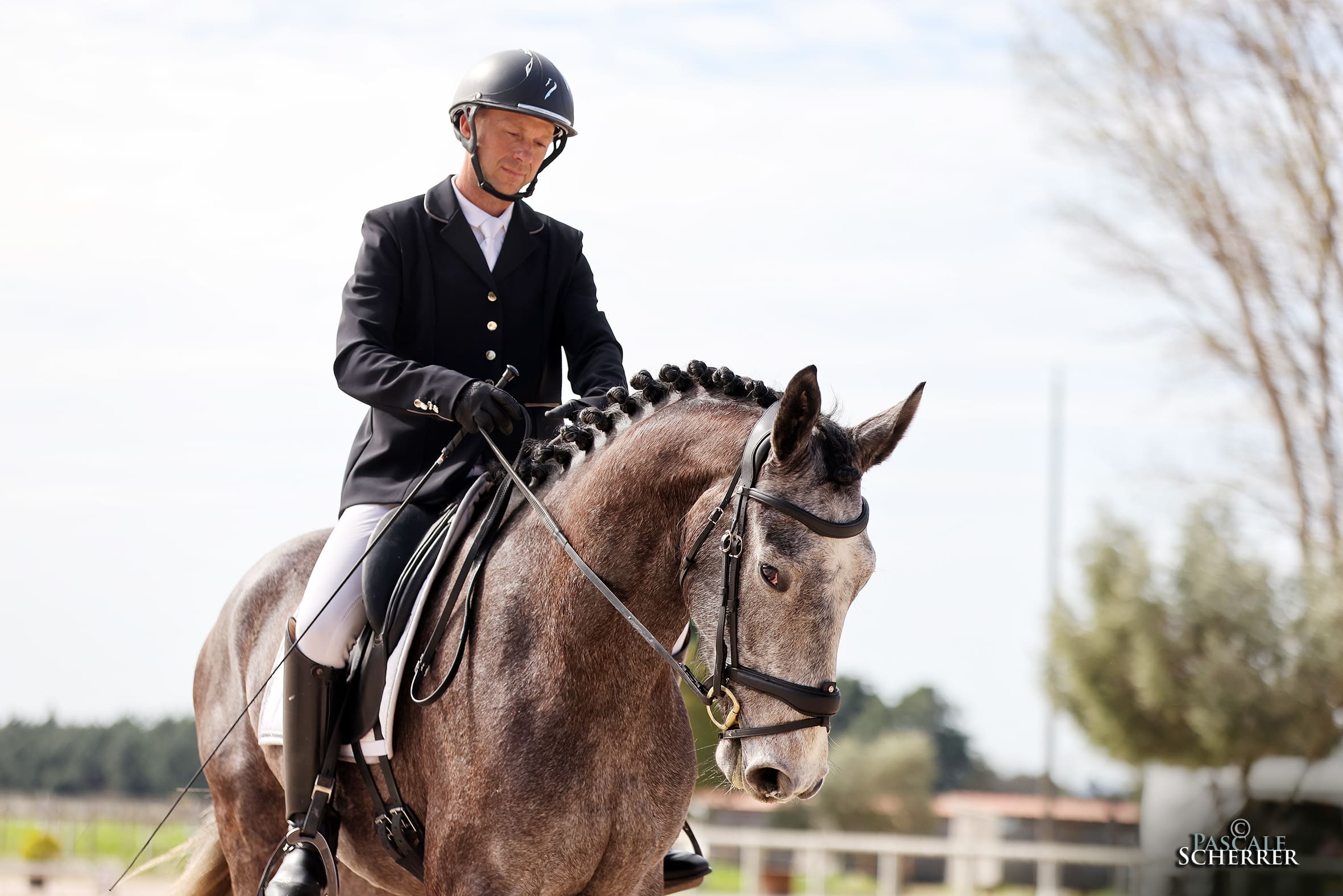 2024   Concours   Nimes   Sunlight   4
