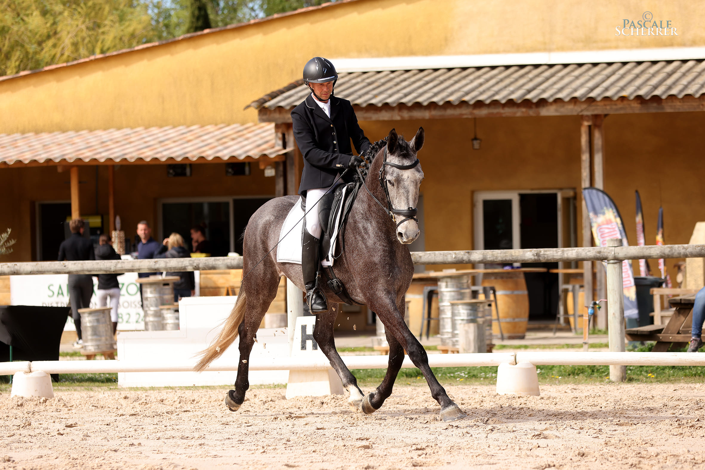 2024   Concours   Nimes   Sunlight   6