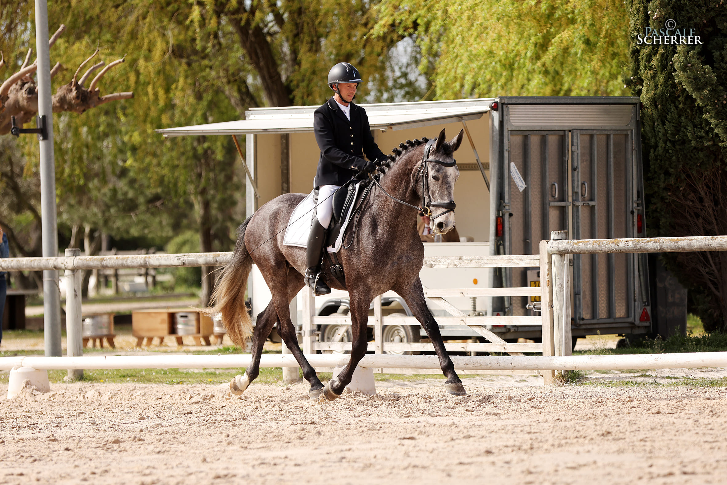 2024   Concours   Nimes   Sunlight   7