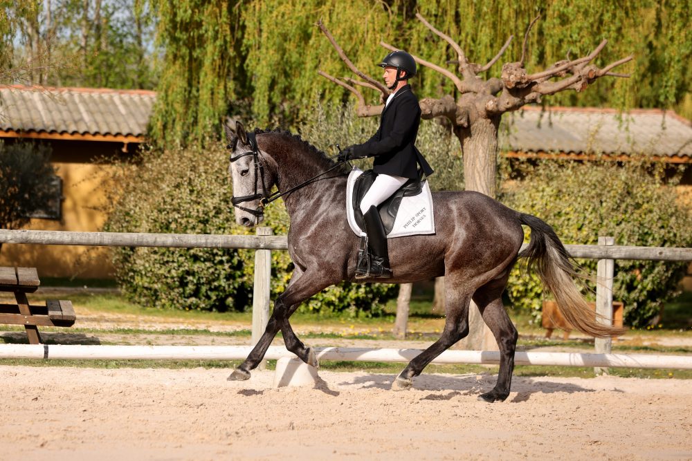 2024 - Concours - Nimes - Sunlight - 8