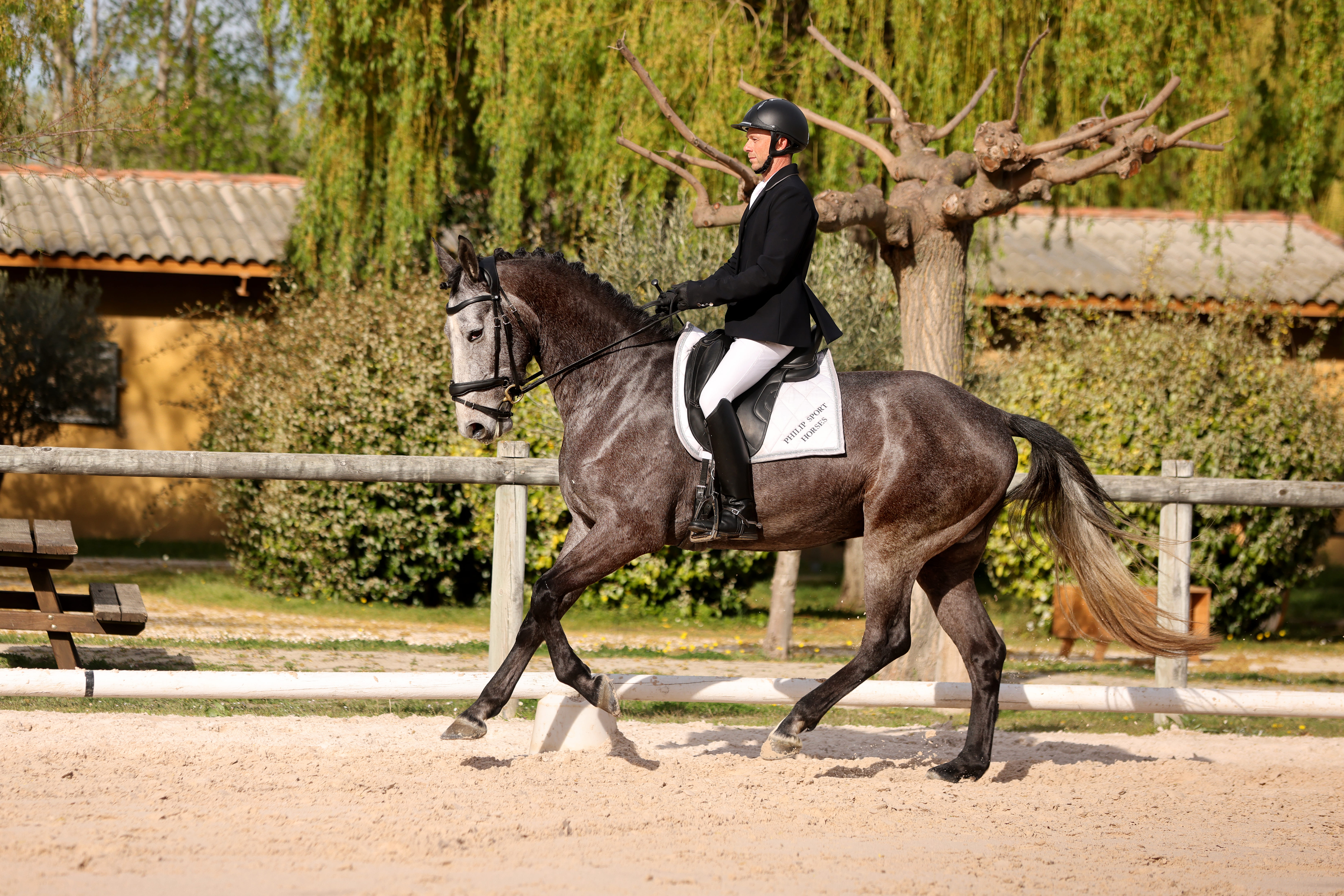 2024   Concours   Nimes   Sunlight   8