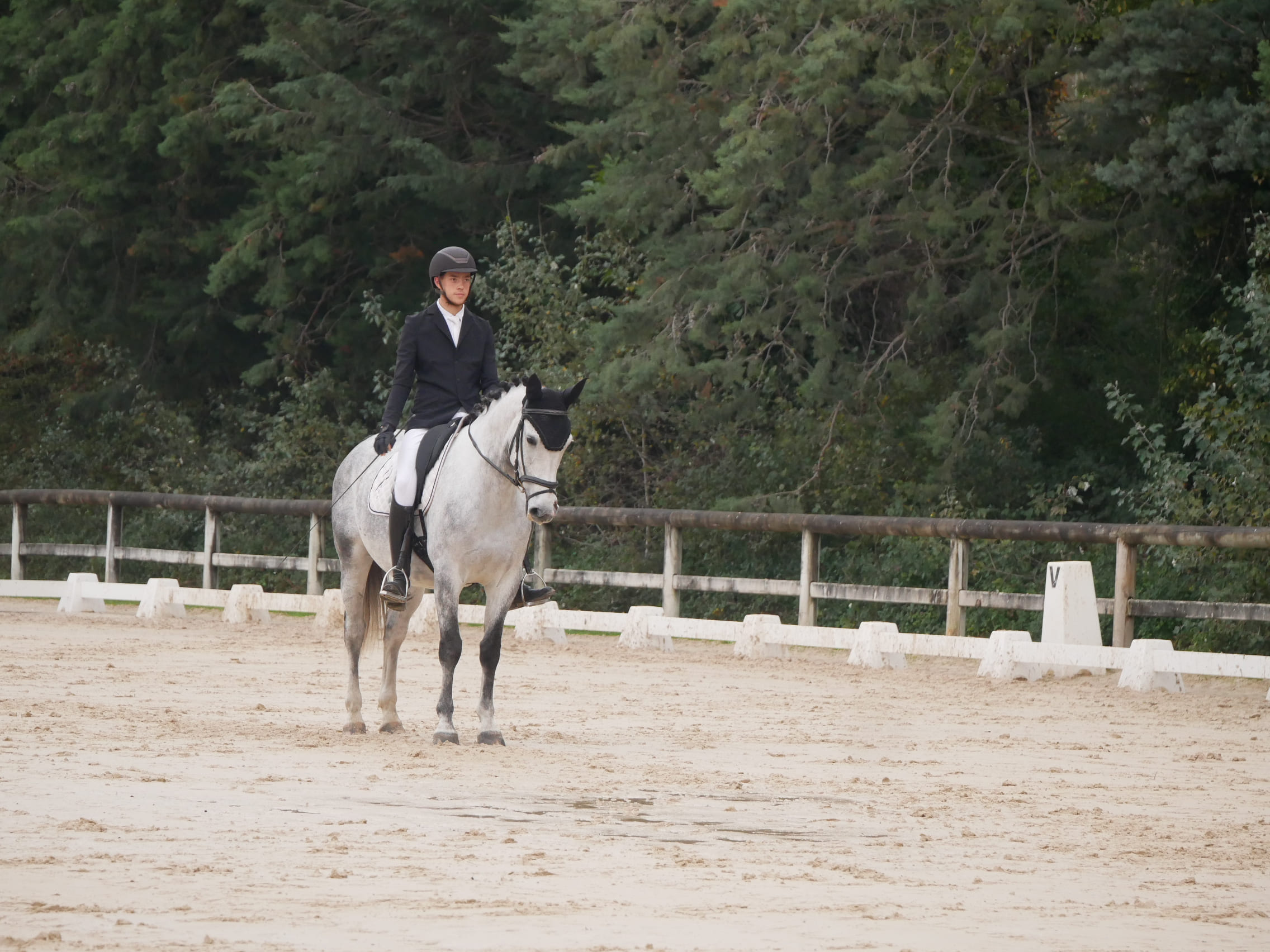 2024   Concours   St Remi   Jupiter   1
