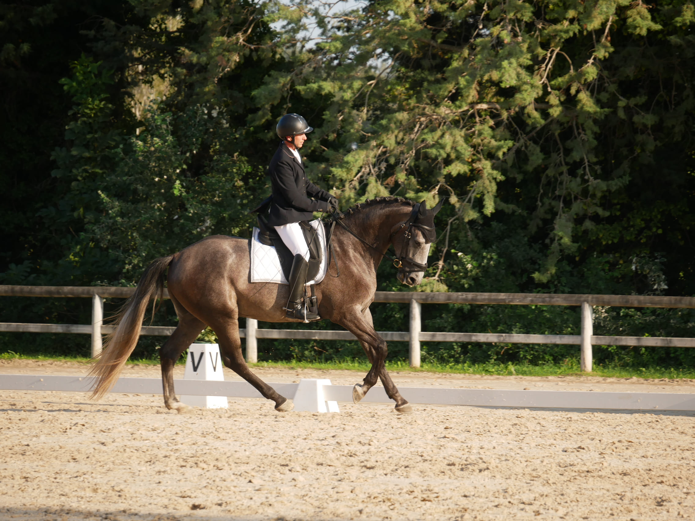 2024   Concours   St Remi   Sunlight   1