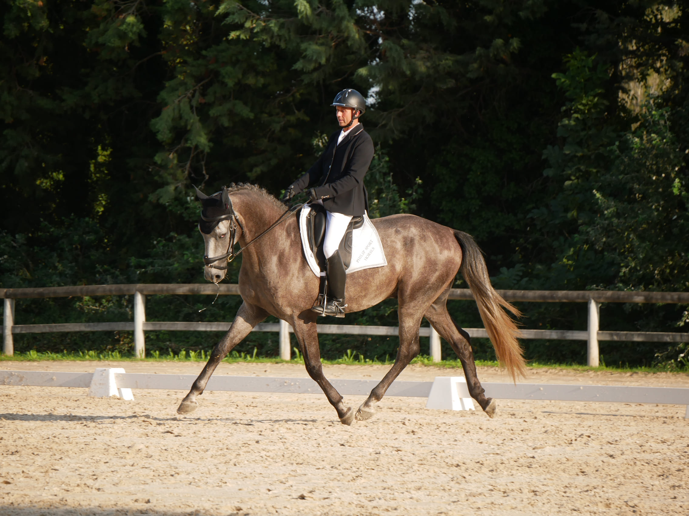 2024   Concours   St Remi   Sunlight   4