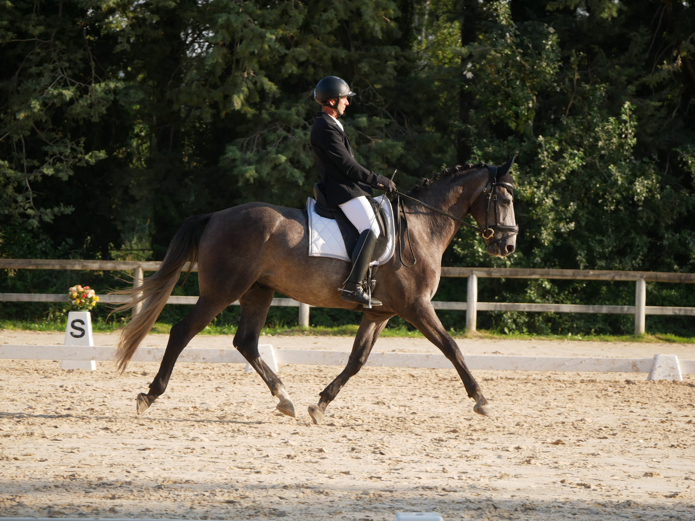 2024   Concours   St Remi   Sunlight   8