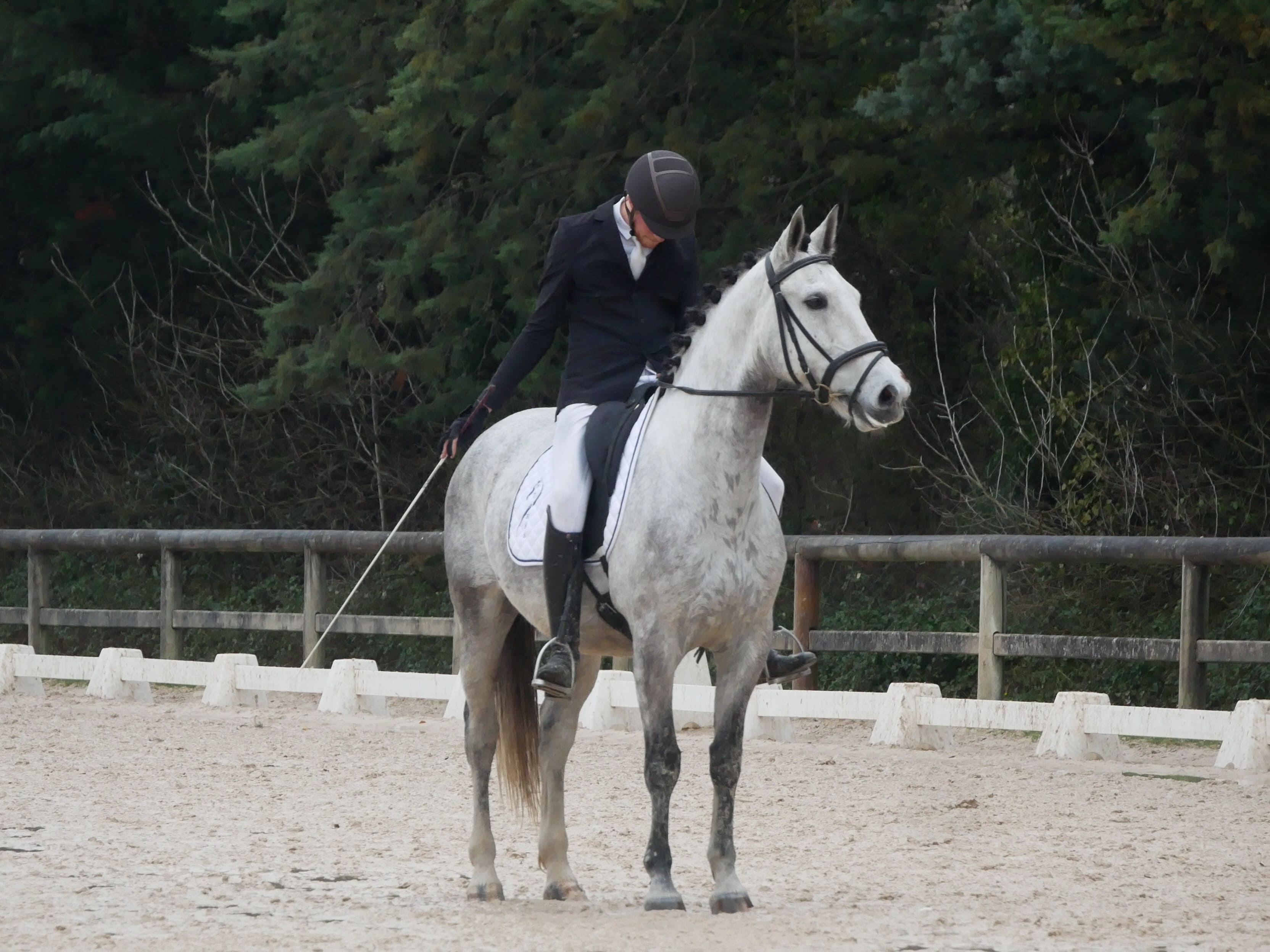 2025   Concours   St Remi   Jupiter   5