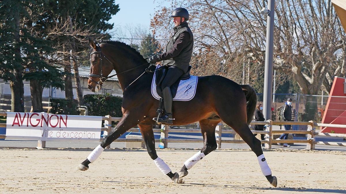 PHILIP SPORT HORSES FOR QUALITY Cheval Passion Janvier 202202