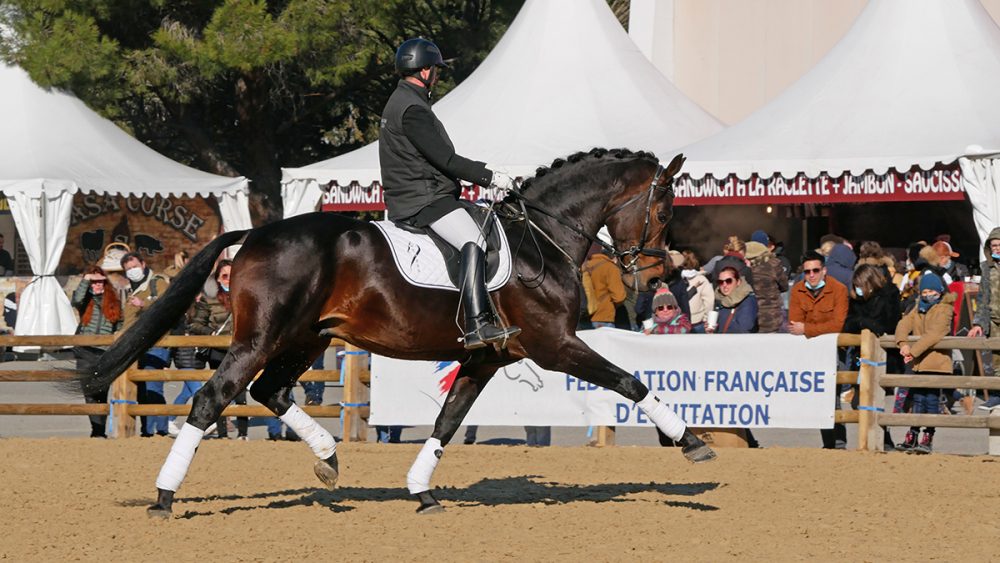 PHILIP SPORT HORSES-FOR QUALITY-Cheval Passion Janvier 202220