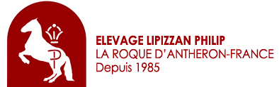 logo-small-header-lipizzan-philip