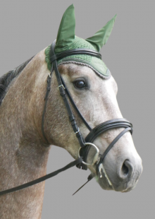 Saphir de Philip