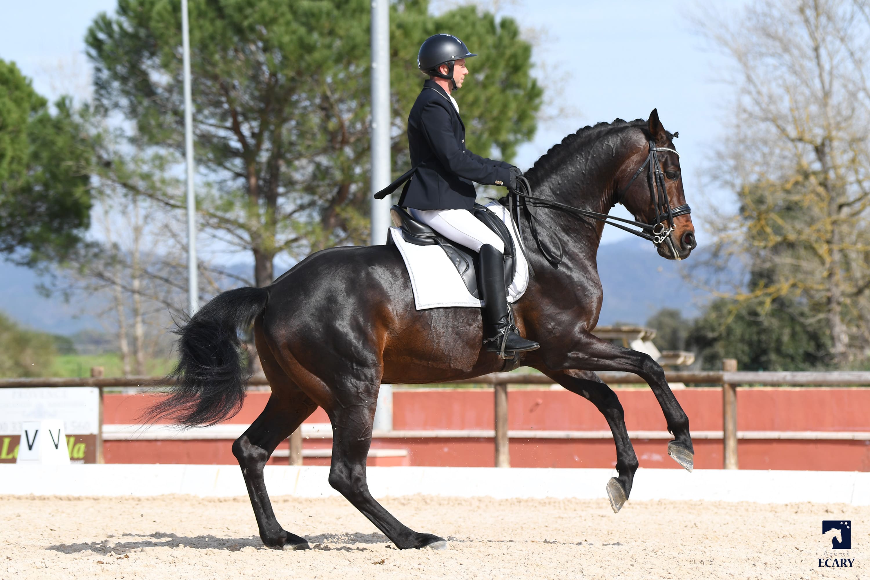 2024   Concours   Vidauban   For Quality   28