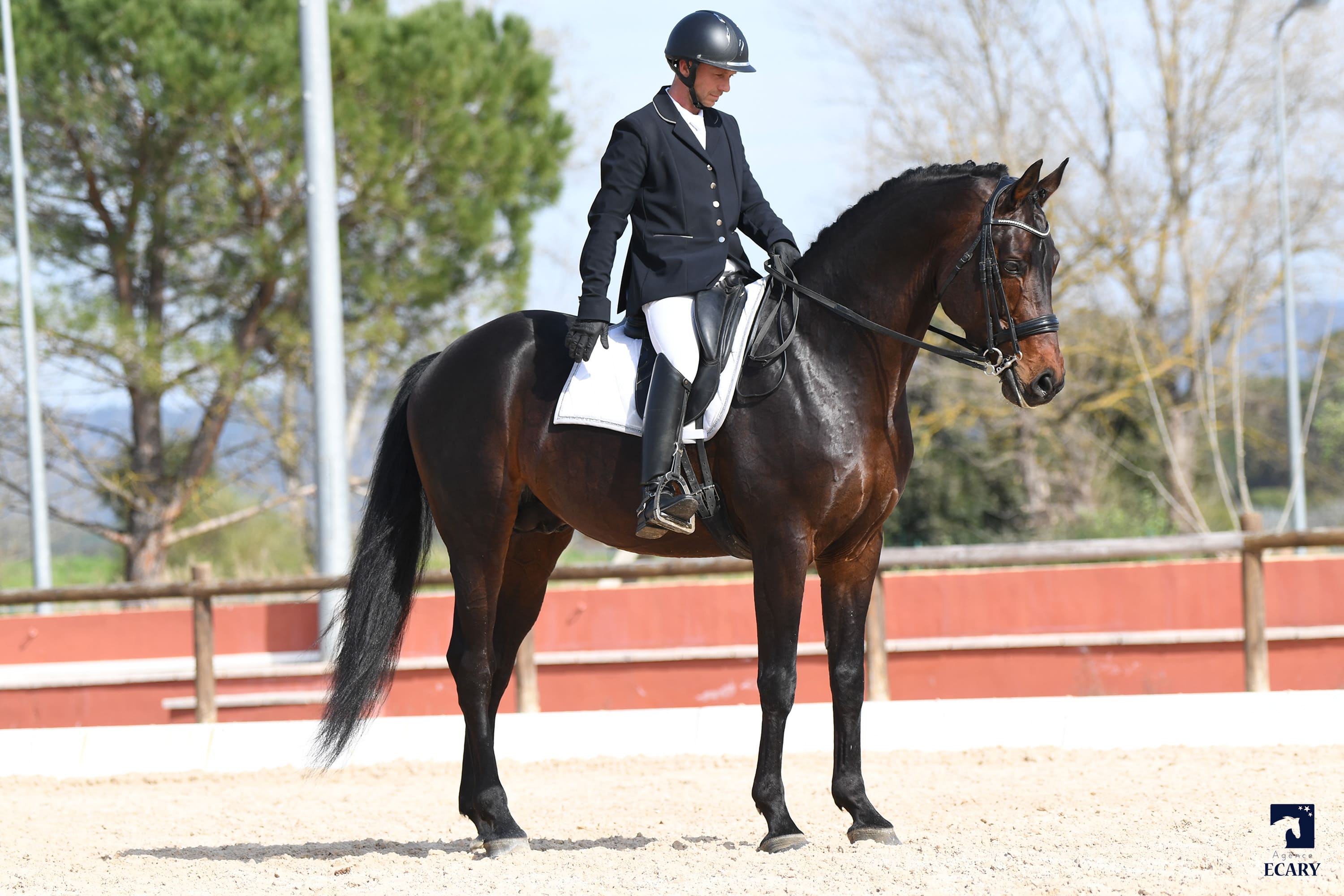 2024   Concours   Vidauban   For Quality   38