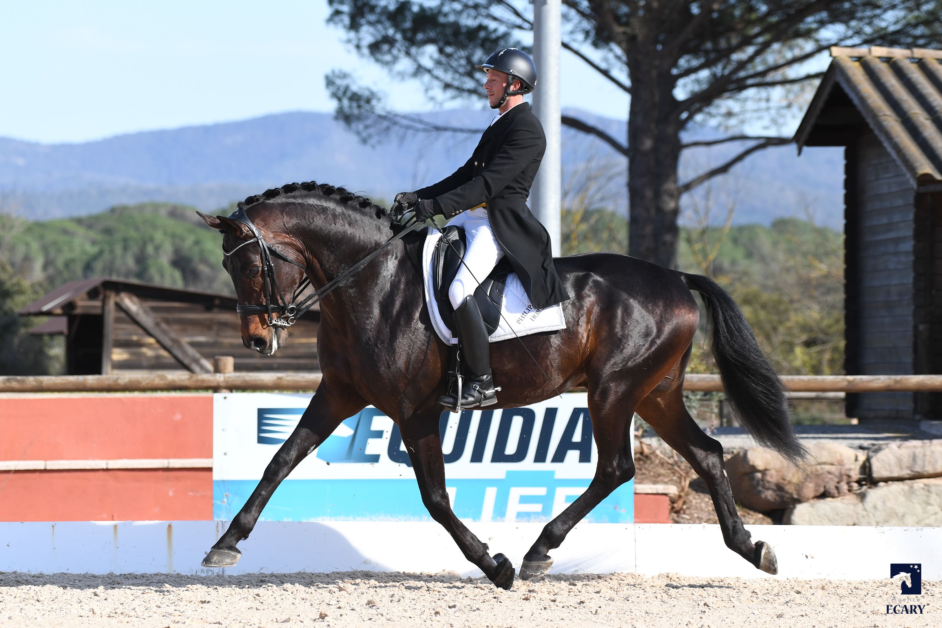 2024   Concours   Vidauban   For Quality   41