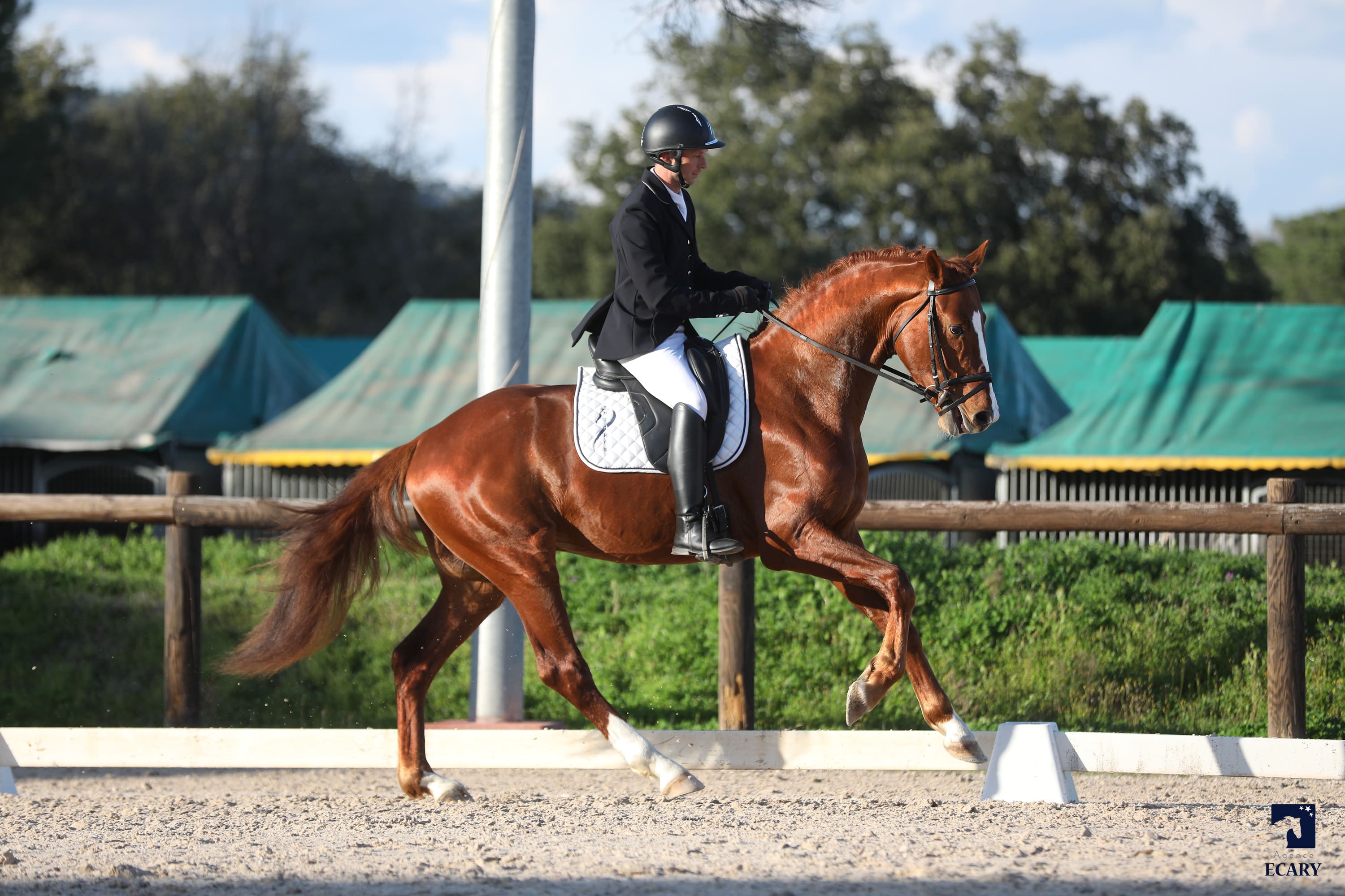2024   Concours   Vidauban   Scout   1