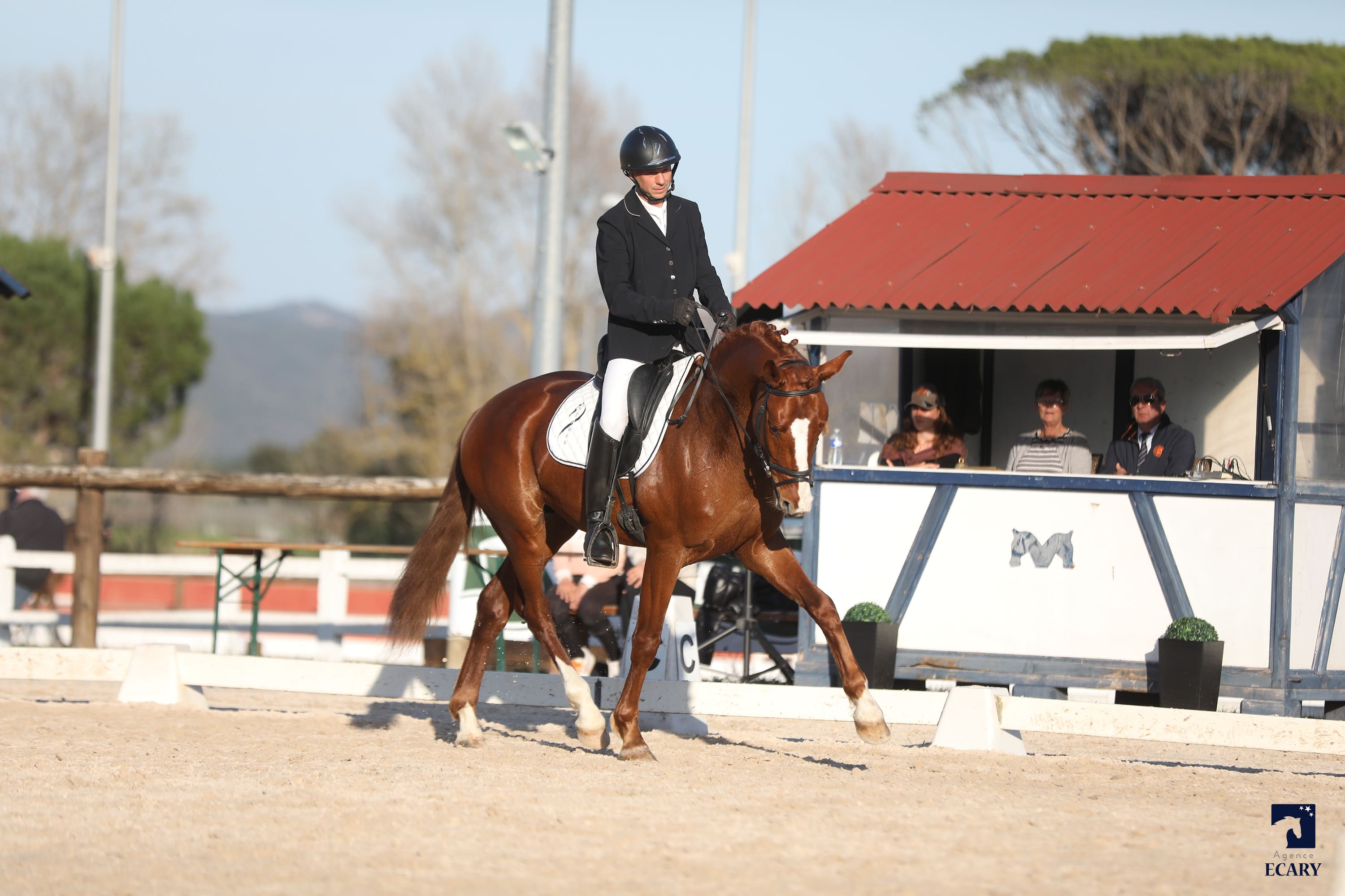2024   Concours   Vidauban   Scout   2