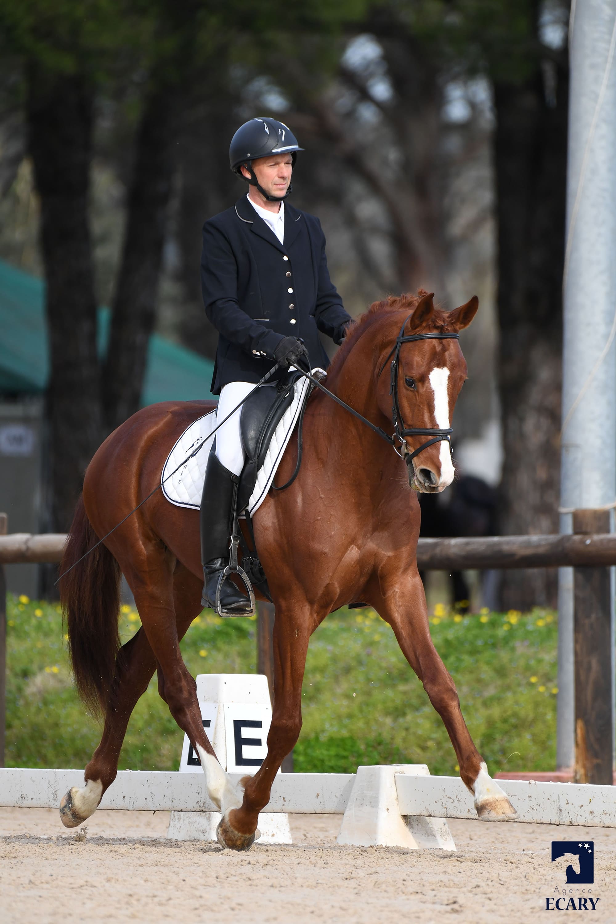 2024   Concours   Vidauban   Scout   3