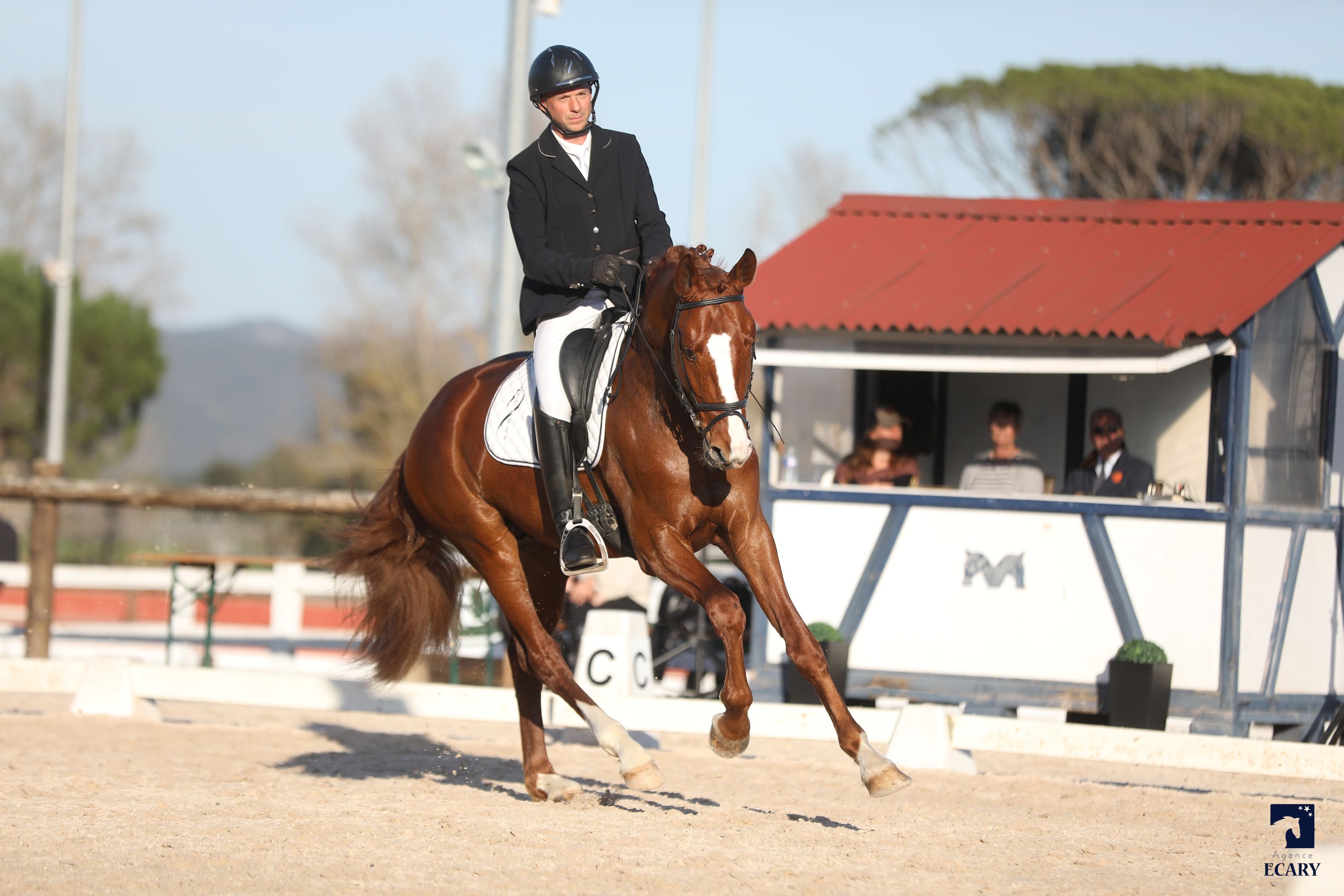 2024   Concours   Vidauban   Scout   5