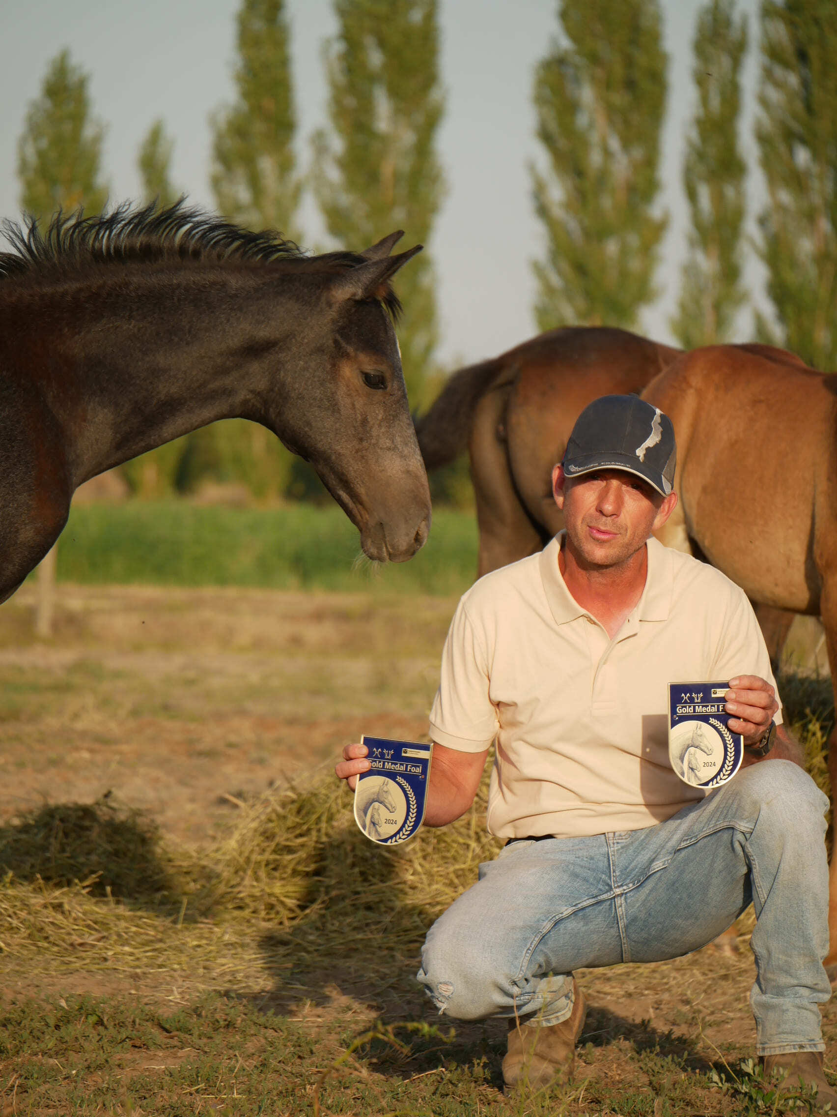 2024   Foals   Feerie   6