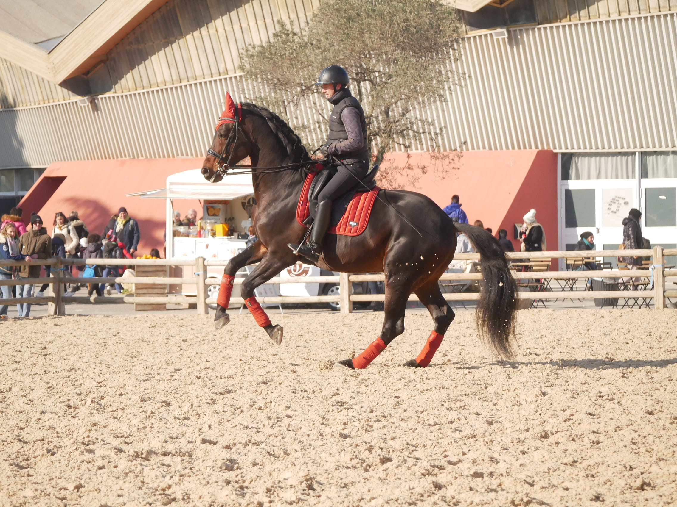 2025   Cheval Passion   For Quality   16