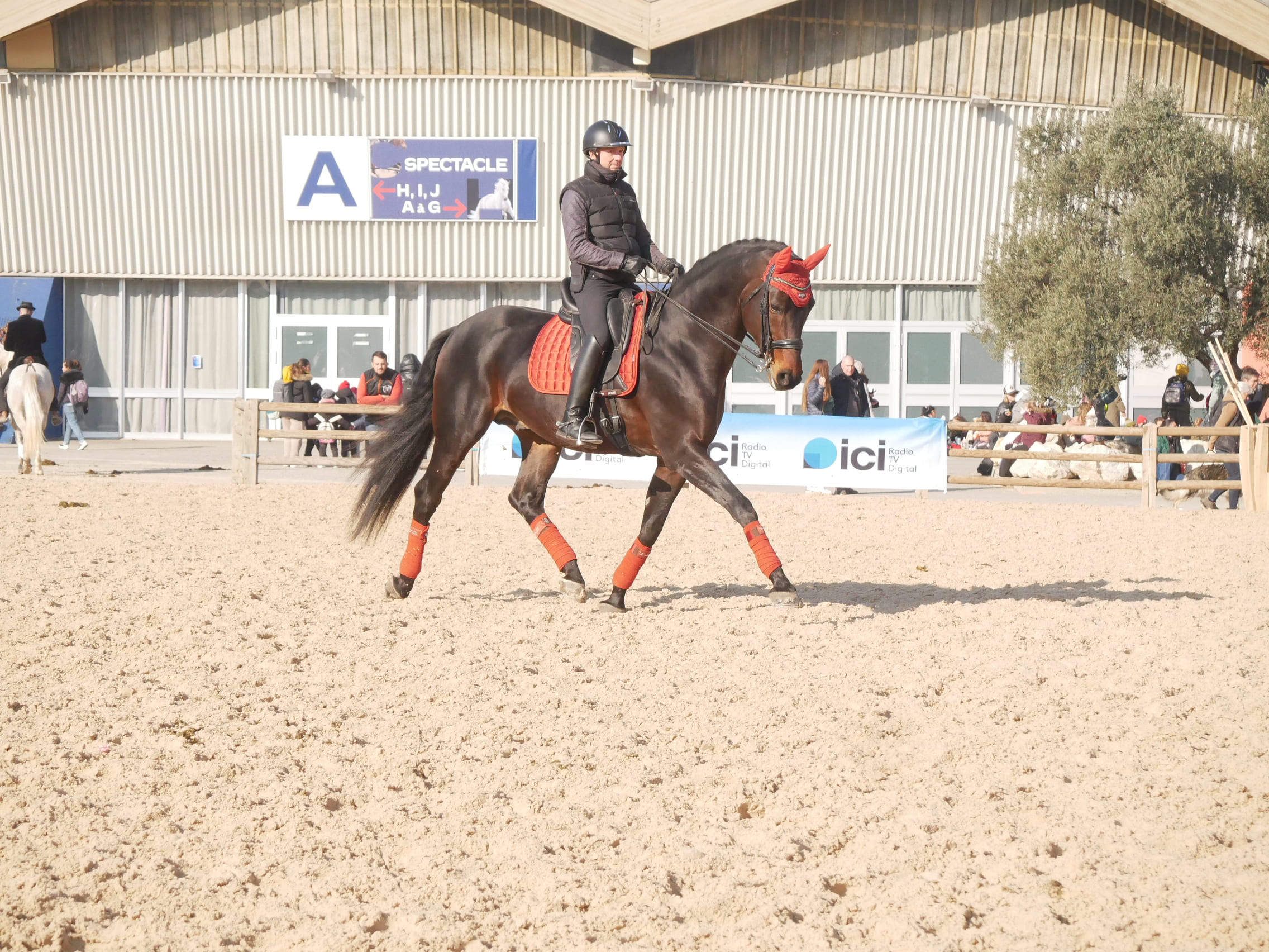 2025   Cheval Passion   For Quality   4