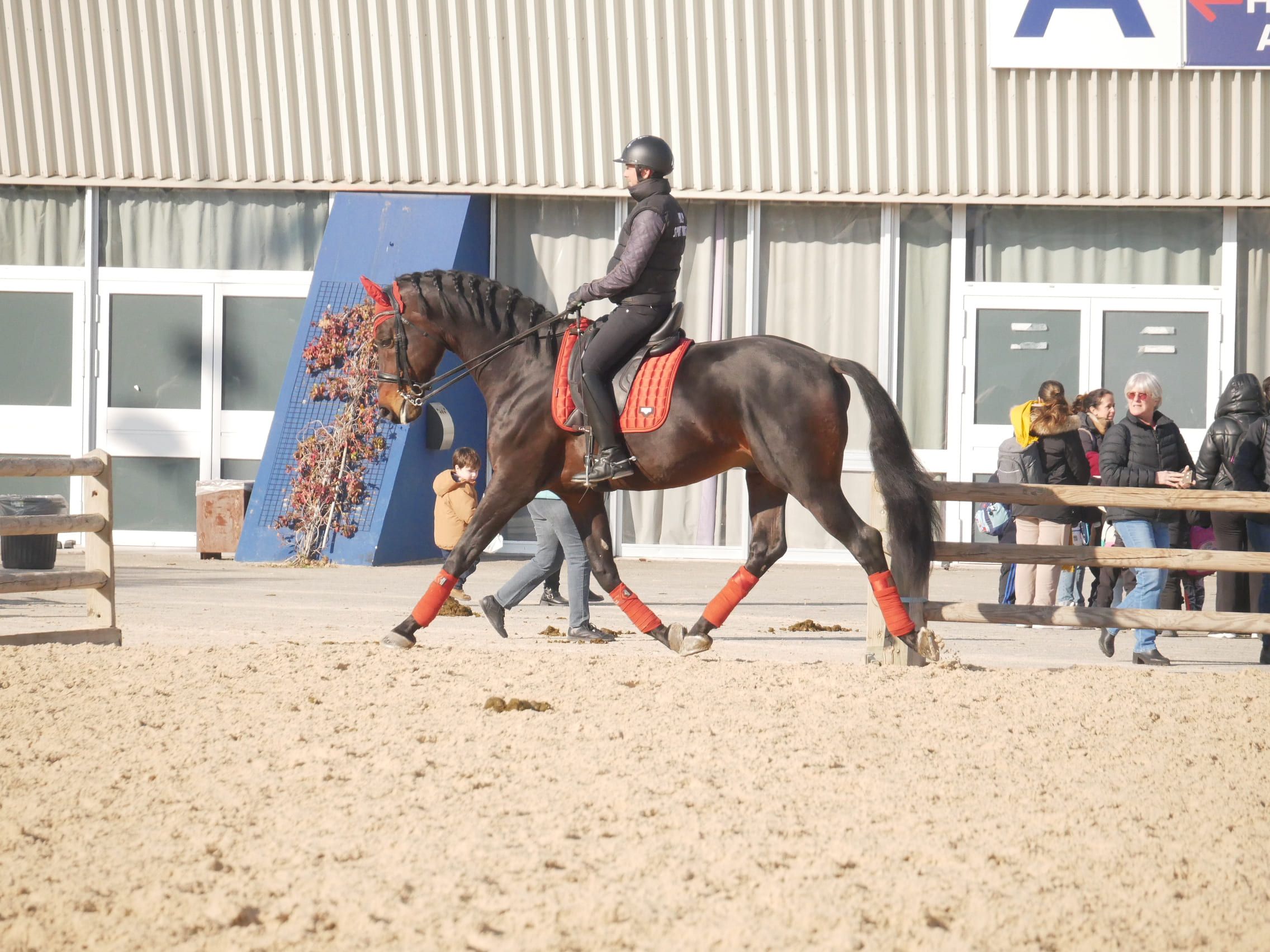 2025   Cheval Passion   For Quality   6