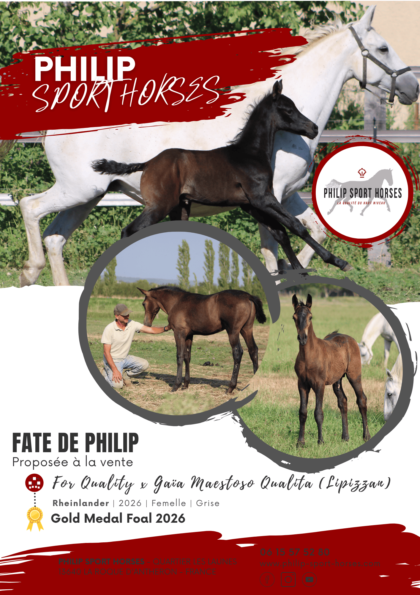 Gold Medal Foals 2026 / Fate De Philip