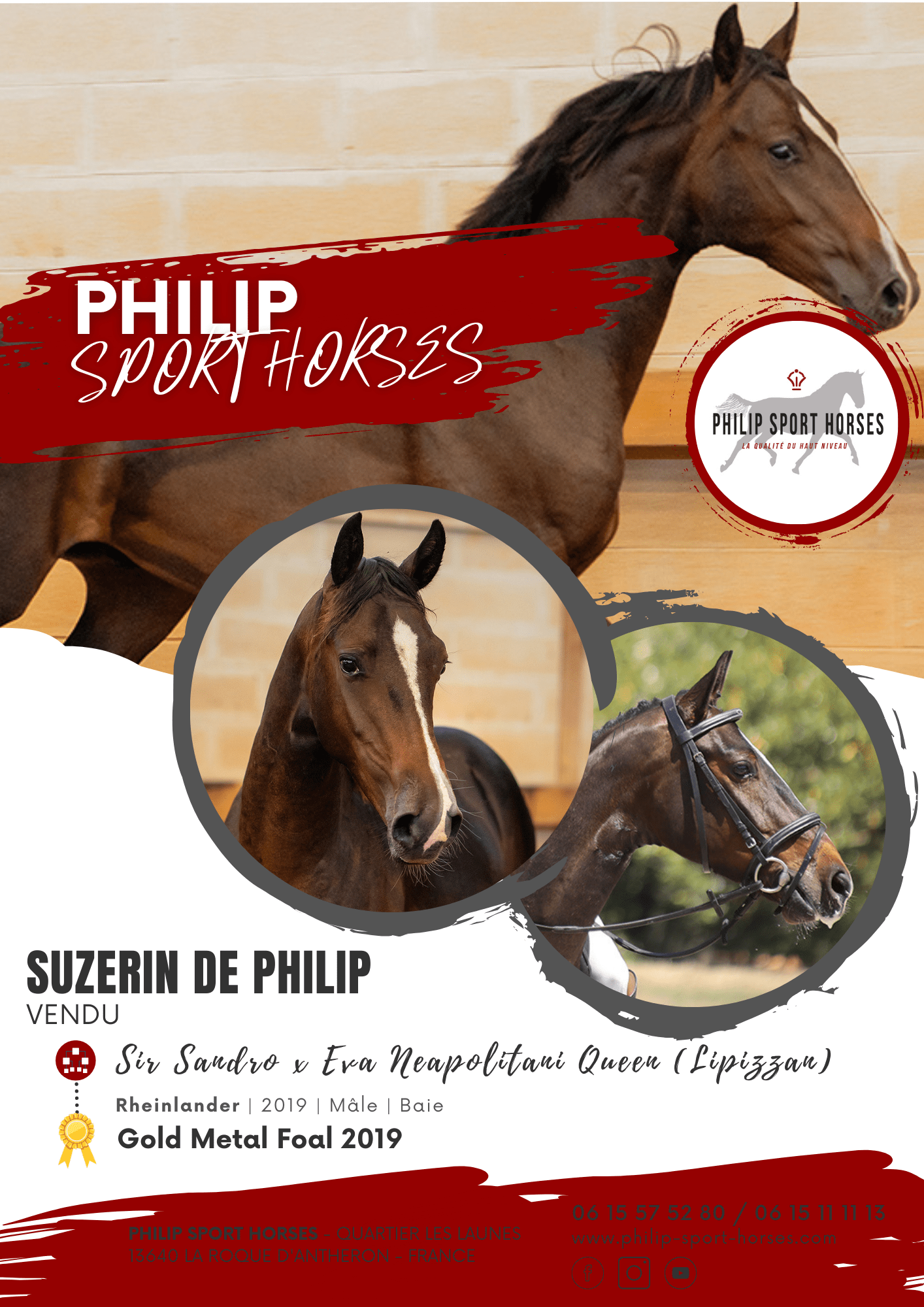 Gold Metal Foals 2019 /  Suzerin De Philip
