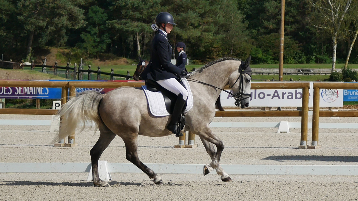 PHILIP SPORT HORSES HISPANO Fontainebleau Sept 2021 09