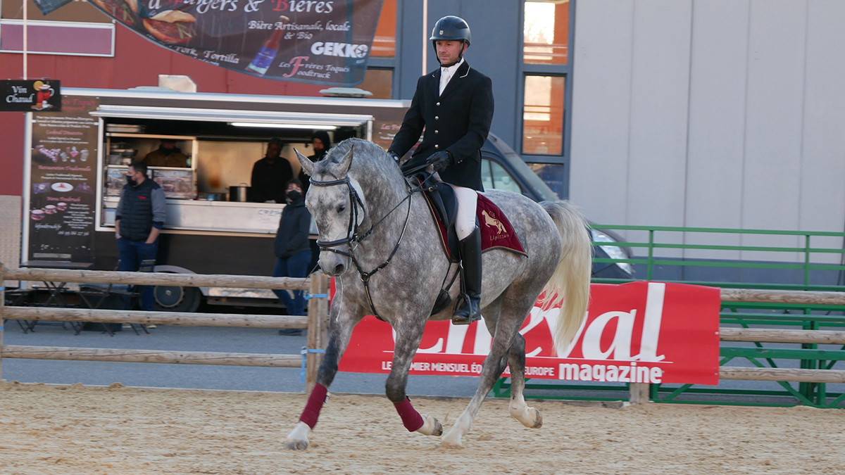 PHILIP SPORT HORSES IMPERIAL Cheval Passion Janvier 2022 06
