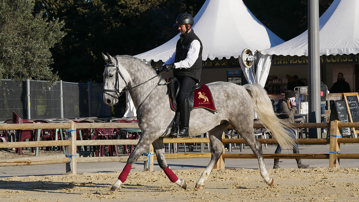 PHILIP SPORT HORSES IMPERIAL Cheval Passion Janvier 2022 12