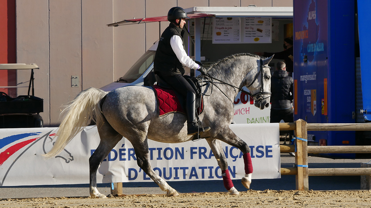 PHILIP SPORT HORSES IMPERIAL Cheval Passion Janvier 2022 14