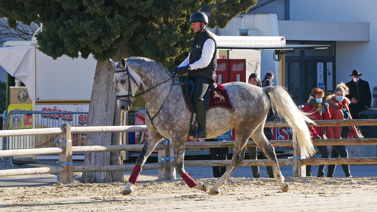 PHILIP SPORT HORSES IMPERIAL Cheval Passion Janvier 2022 16