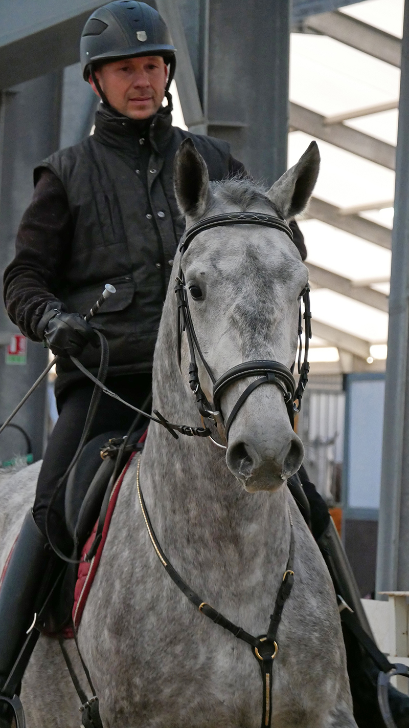 PHILIP SPORT HORSES IMPERIAL Cheval Passion Janvier 2022 17