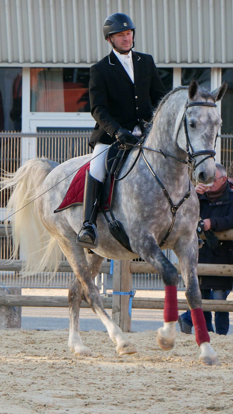 PHILIP SPORT HORSES IMPERIAL Cheval Passion Janvier 2022 19