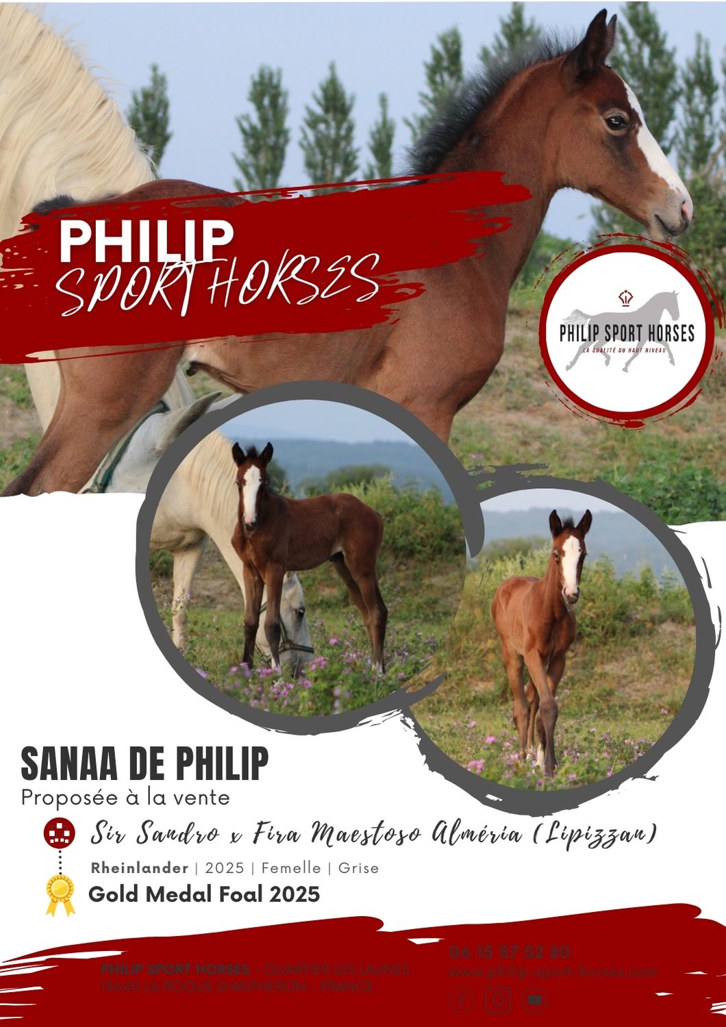 Gold Medal Foals 2025 / Sanaa De Philip